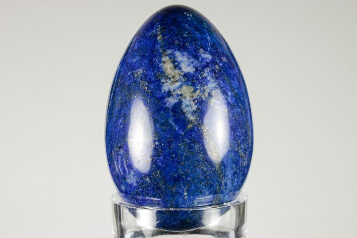 Polished Lapis Lazuli Egg - Pakistan #194506